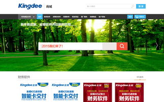 金蝶应用商城 数字化企业服务的核心枢纽